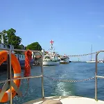 Muschel