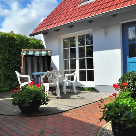 Muschel *