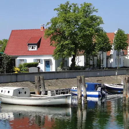 Muschel *