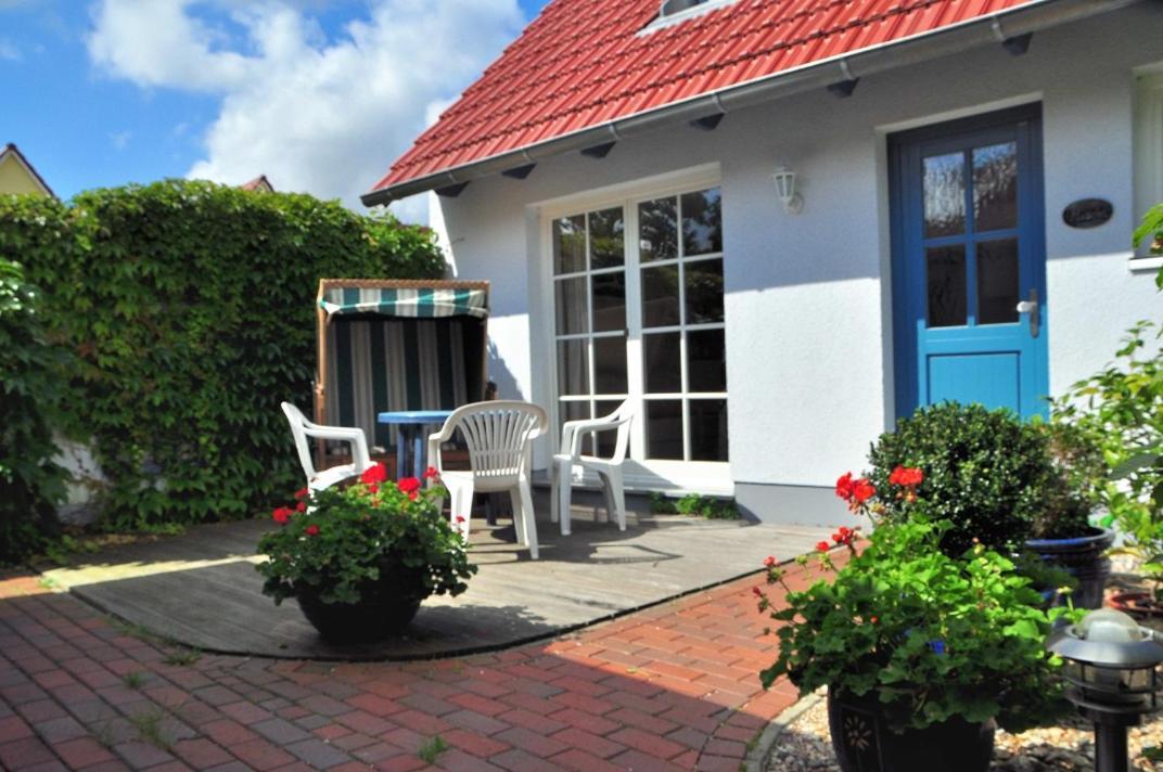 Muschel * Rostock